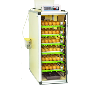 Incubadora de 180 huevos