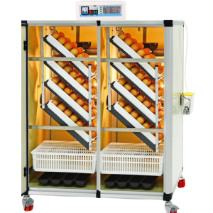 Incubadora de 1080 huevos