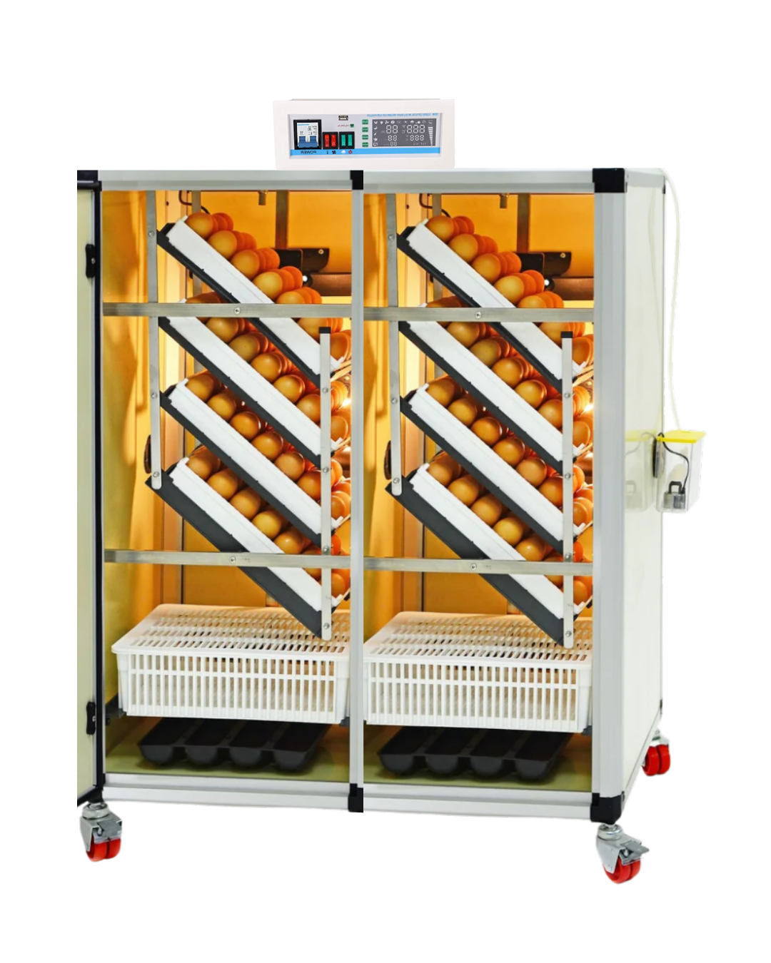 Incubadora de 1080 huevos