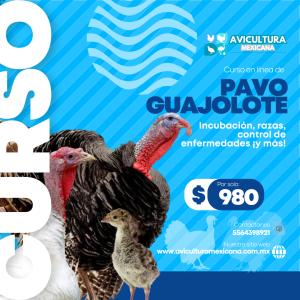 Curso de Pavo y Guajolote