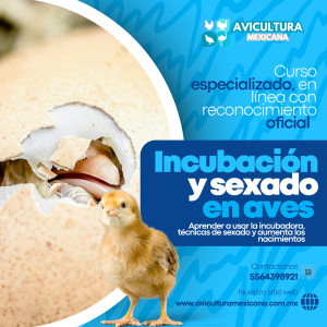 Curso de Incubación y sexado